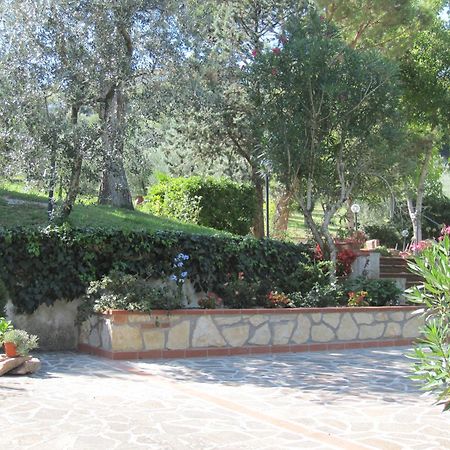 טרני Valle Degli Ulivi Appartamento מראה חיצוני תמונה