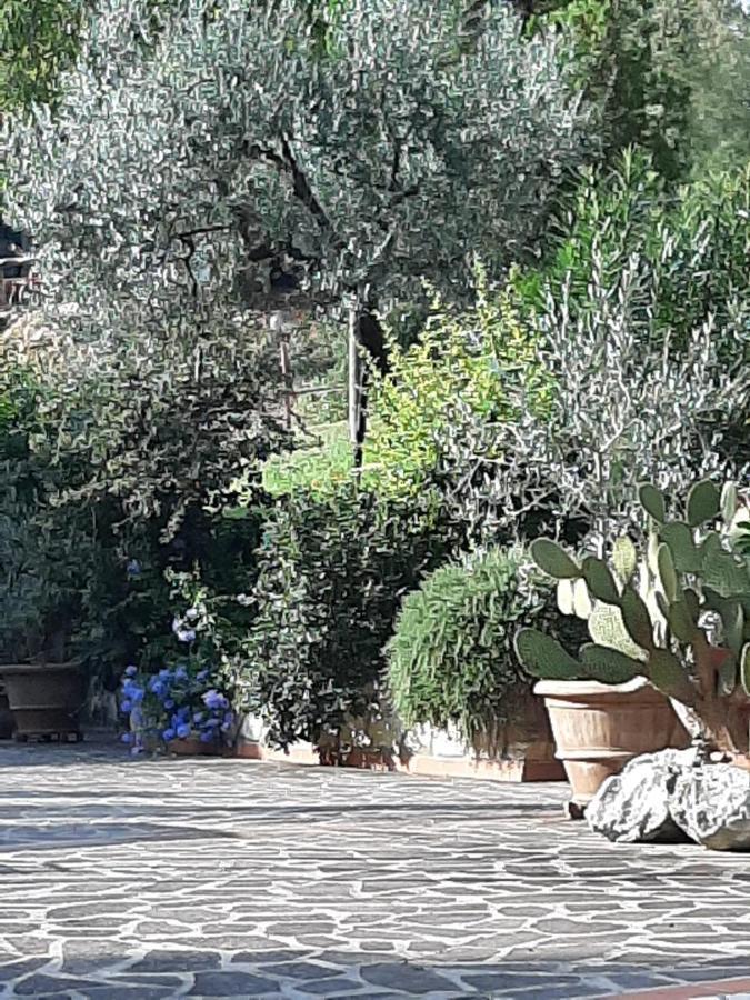 טרני Valle Degli Ulivi Appartamento מראה חיצוני תמונה
