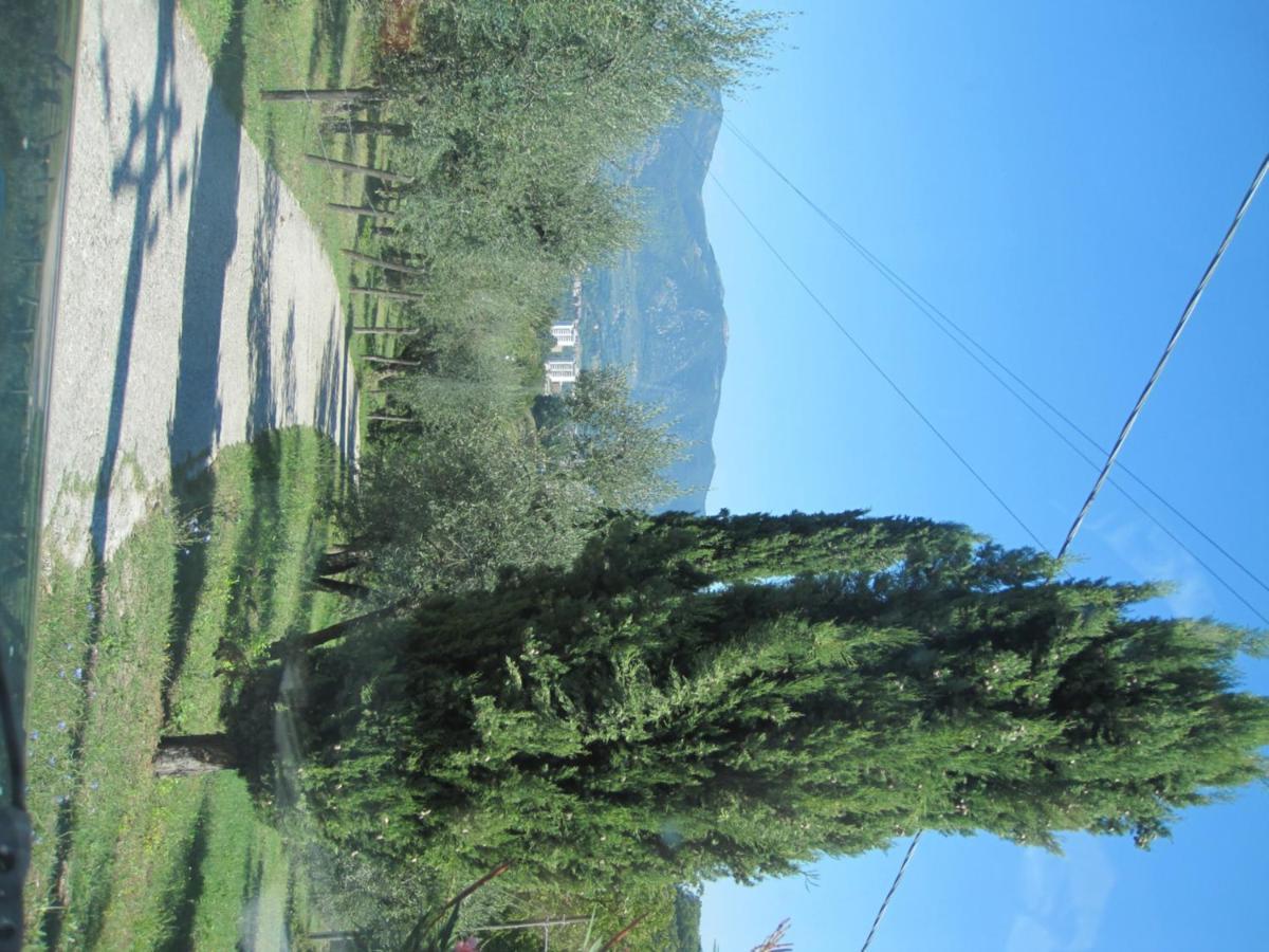 טרני Valle Degli Ulivi Appartamento מראה חיצוני תמונה