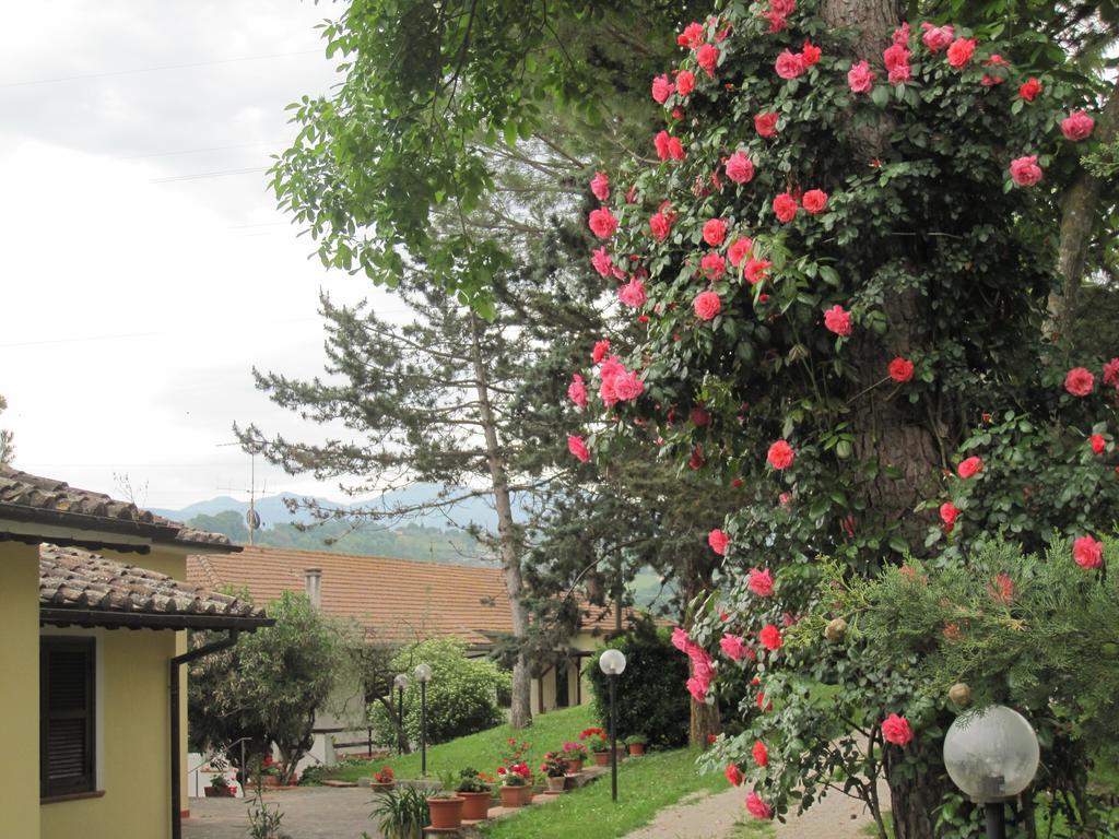 טרני Valle Degli Ulivi Appartamento מראה חיצוני תמונה
